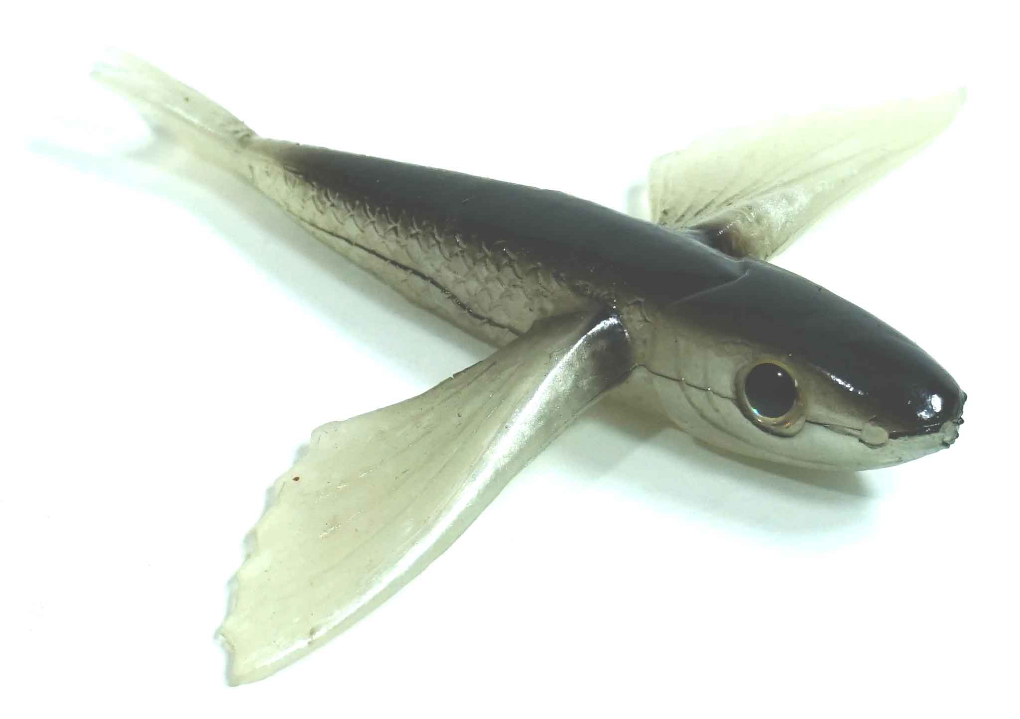 Flying Fish Black/Clear 4" - Almost Alive Lures - Click Image to Close