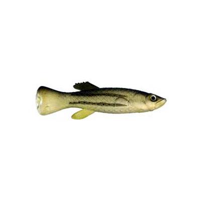 Artificial Mud Minnow 2-3/4" Horizontal Stripe 6 Pack - Almost A - Click Image to Close