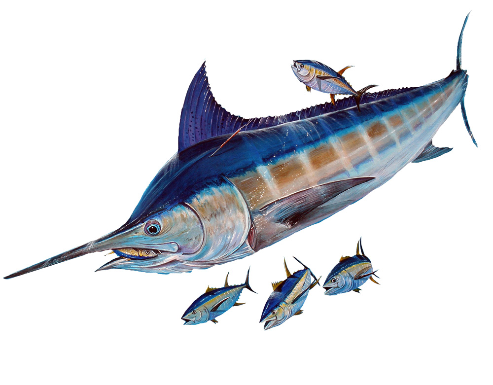 Marlin and Tuna Decal/Sticker