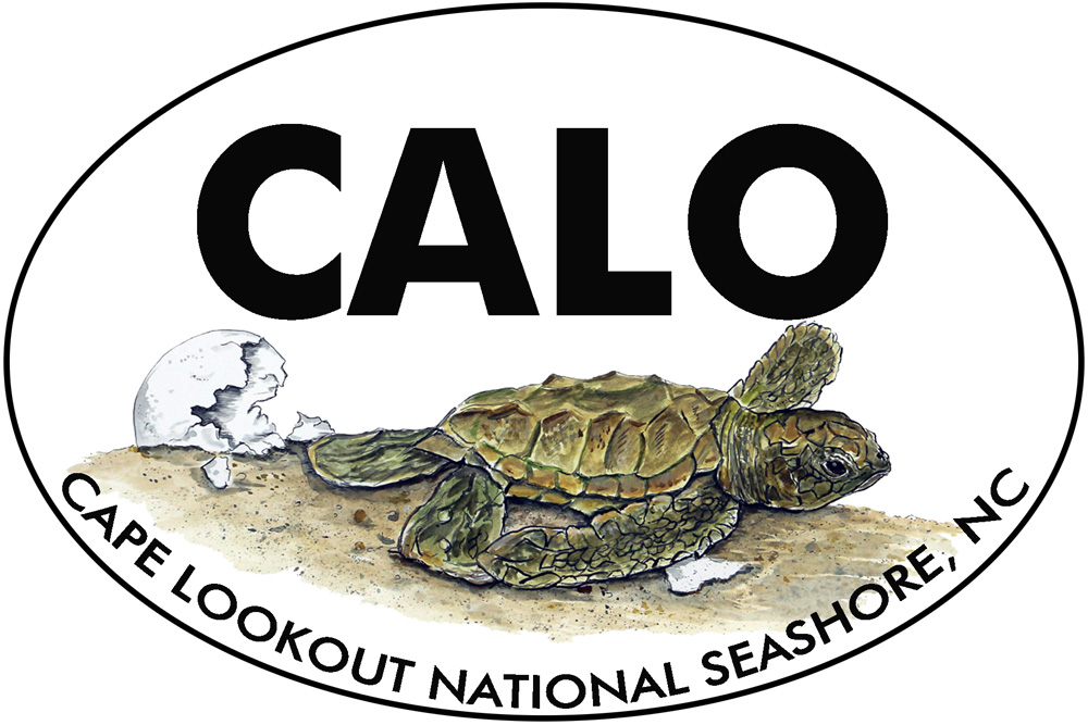 CALO - Cape Lookout - Hatchling Decal/Sticker