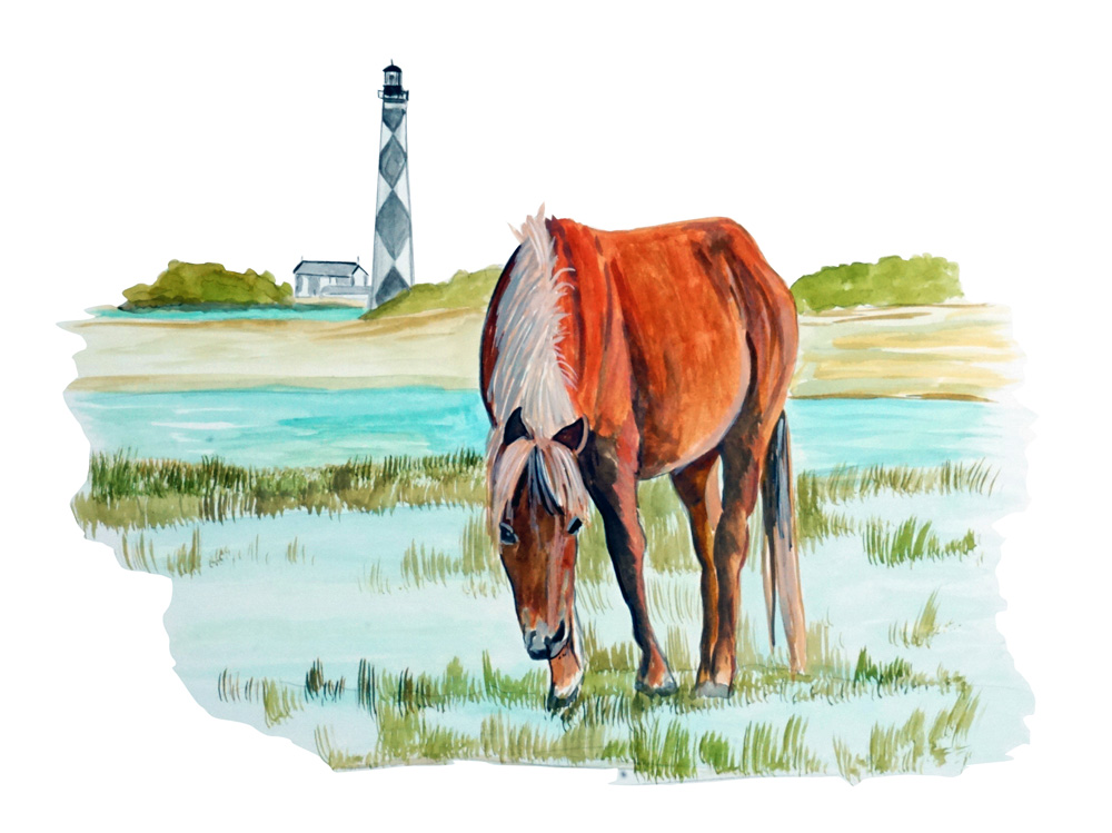 Cape Lookout Horse Decal/Sticker