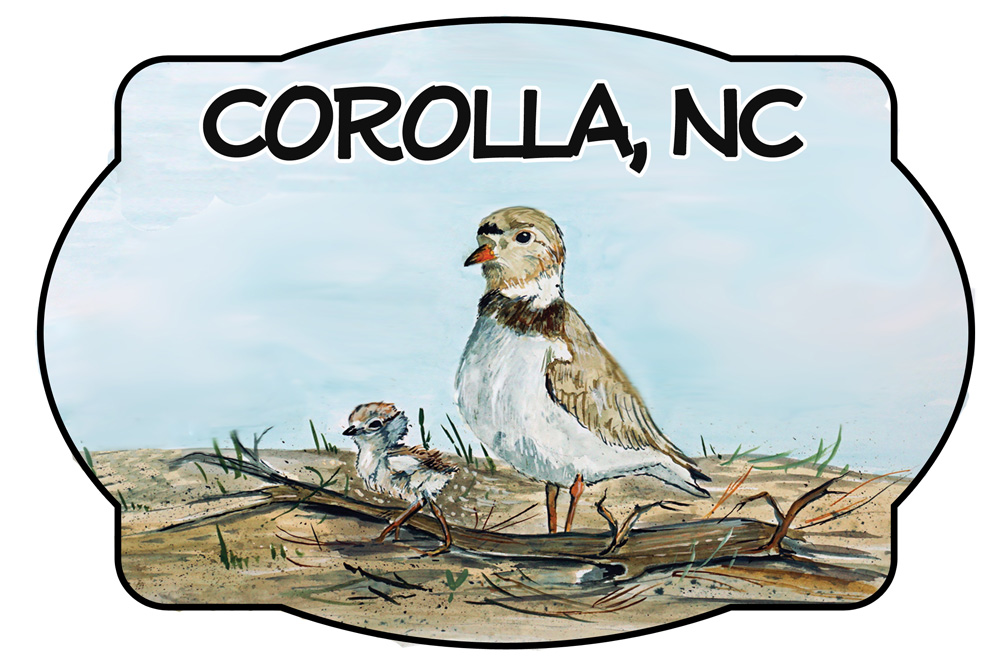 Corolla - Shorebird Scene Decal/Sticker