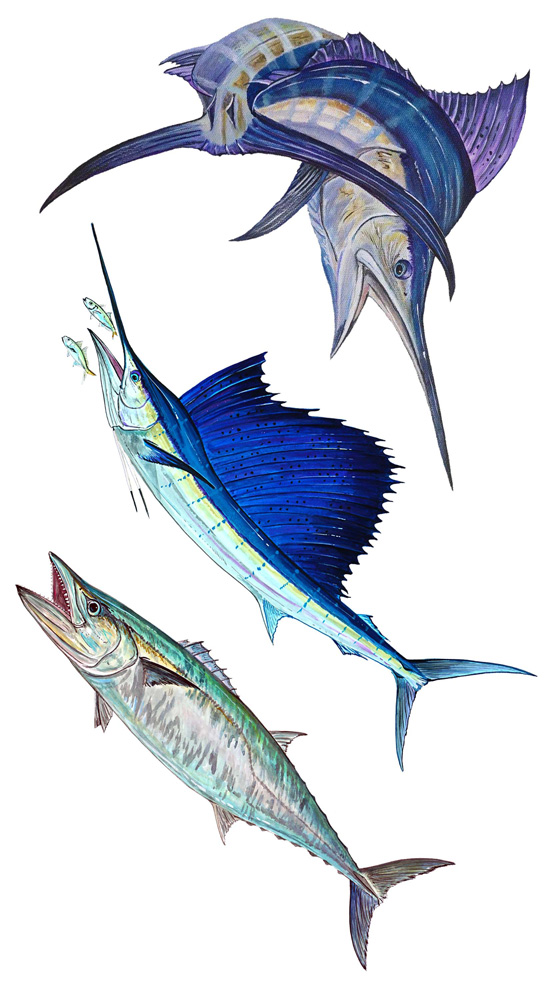 Marlin,Sail,King Decal/Sticker
