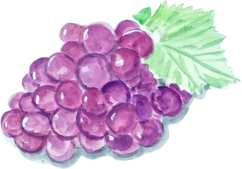 Grapes Decal/Sticker