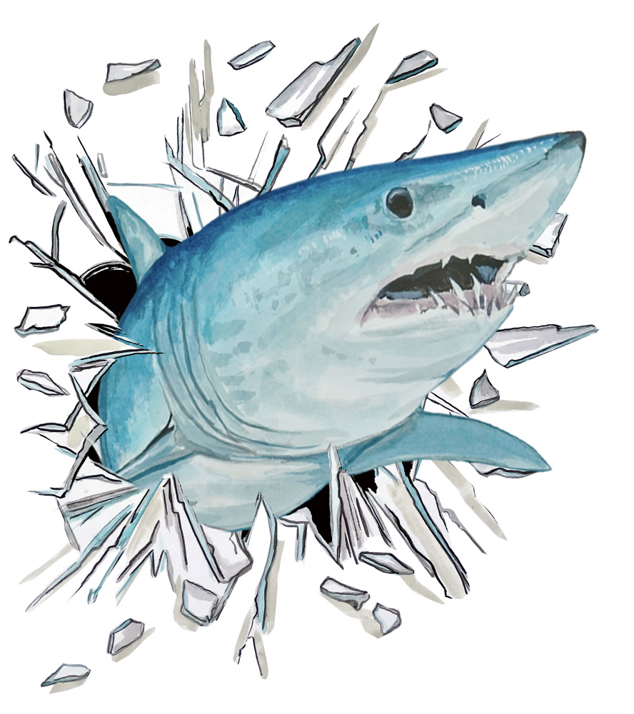 Broken Glass Shark Decal/Sticker