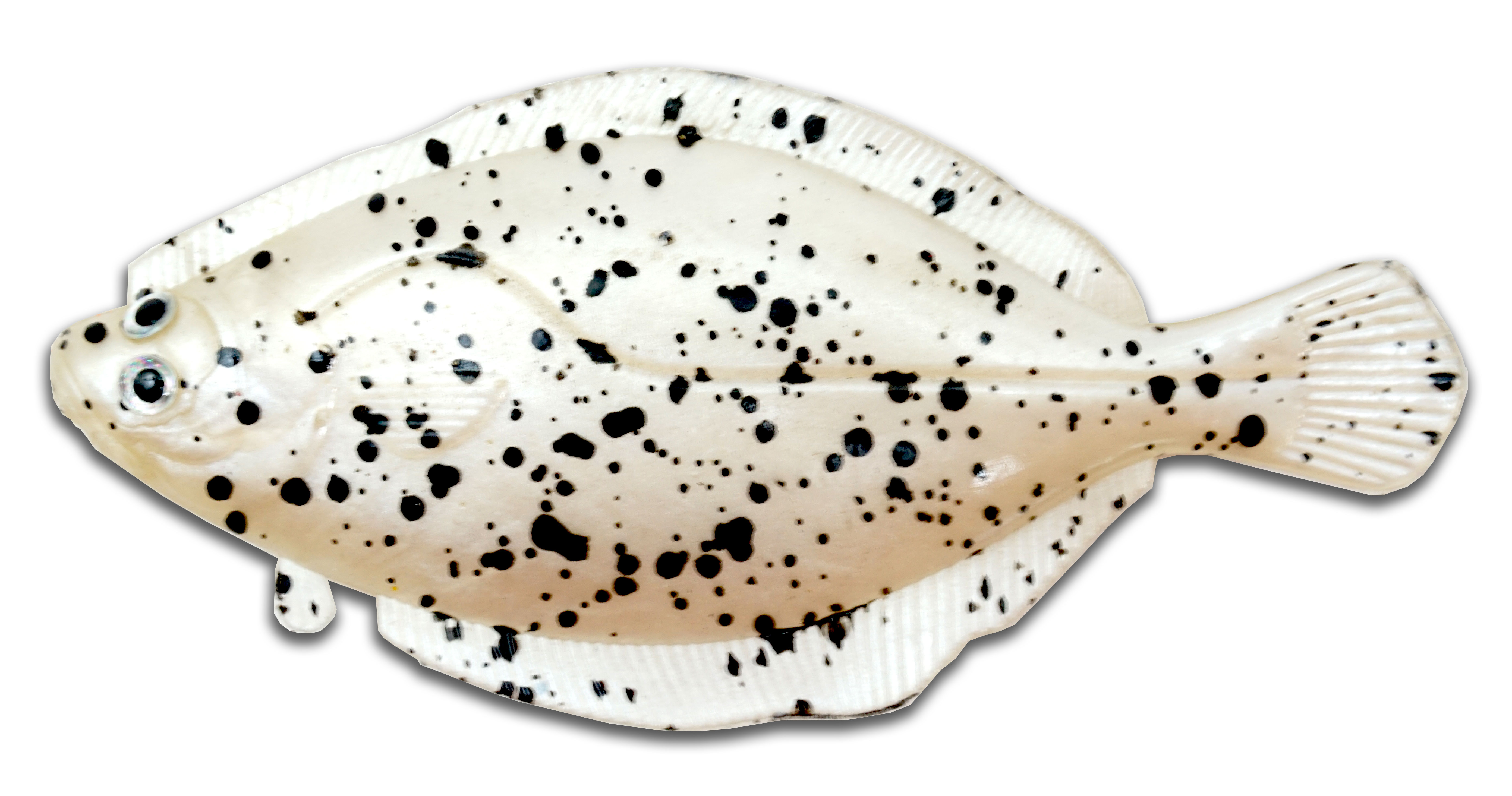 Artificial Flounder 5" White Spotted - Almost Alive Lures