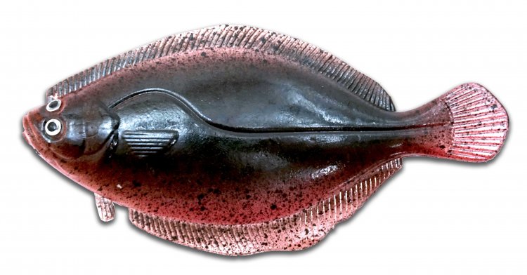 Artificial Flounder 5" Dark Brown/Pink Belly - Click Image to Close