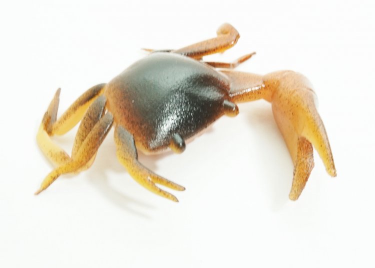 Artificial Fiddler Crab 2" Brown/Orange 8 Pack - Click Image to Close