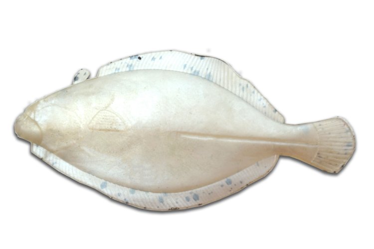 Artificial Flounder 5" White Spotted - Almost Alive Lures - Click Image to Close
