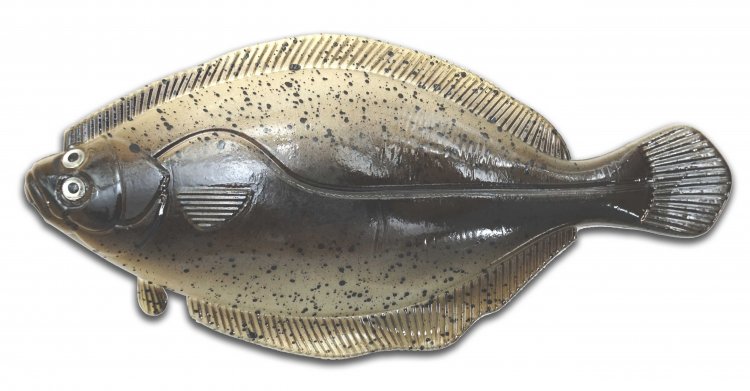 Artificial Flounder 6" Light Spotted - Almost Alive Lures - Click Image to Close