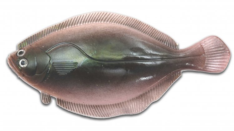Artificial Flounder 8" Dark Brown/Pink Belly - Almost Alive Lure - Click Image to Close