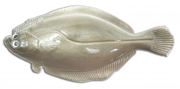 Artificial Flounder 5" Light Gray-Green - Almost Alive Lures - Click Image to Close