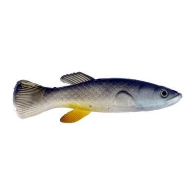 Artificial Mud Minnow 4 Natural 4 Pack - Almost Alive Lures Artificial Mud  Minnow Killifish 4 Natural 4 Pack $3.99 [AA101Y] - $2.07 : Almost Alive