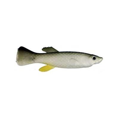 Artificial Mud Minnow 4 Natural 4 Pack - Almost Alive Lures Artificial Mud  Minnow Killifish 4 Natural 4 Pack $3.99 [AA101Y] - $2.07 : Almost Alive  Lures, The best there ever was.