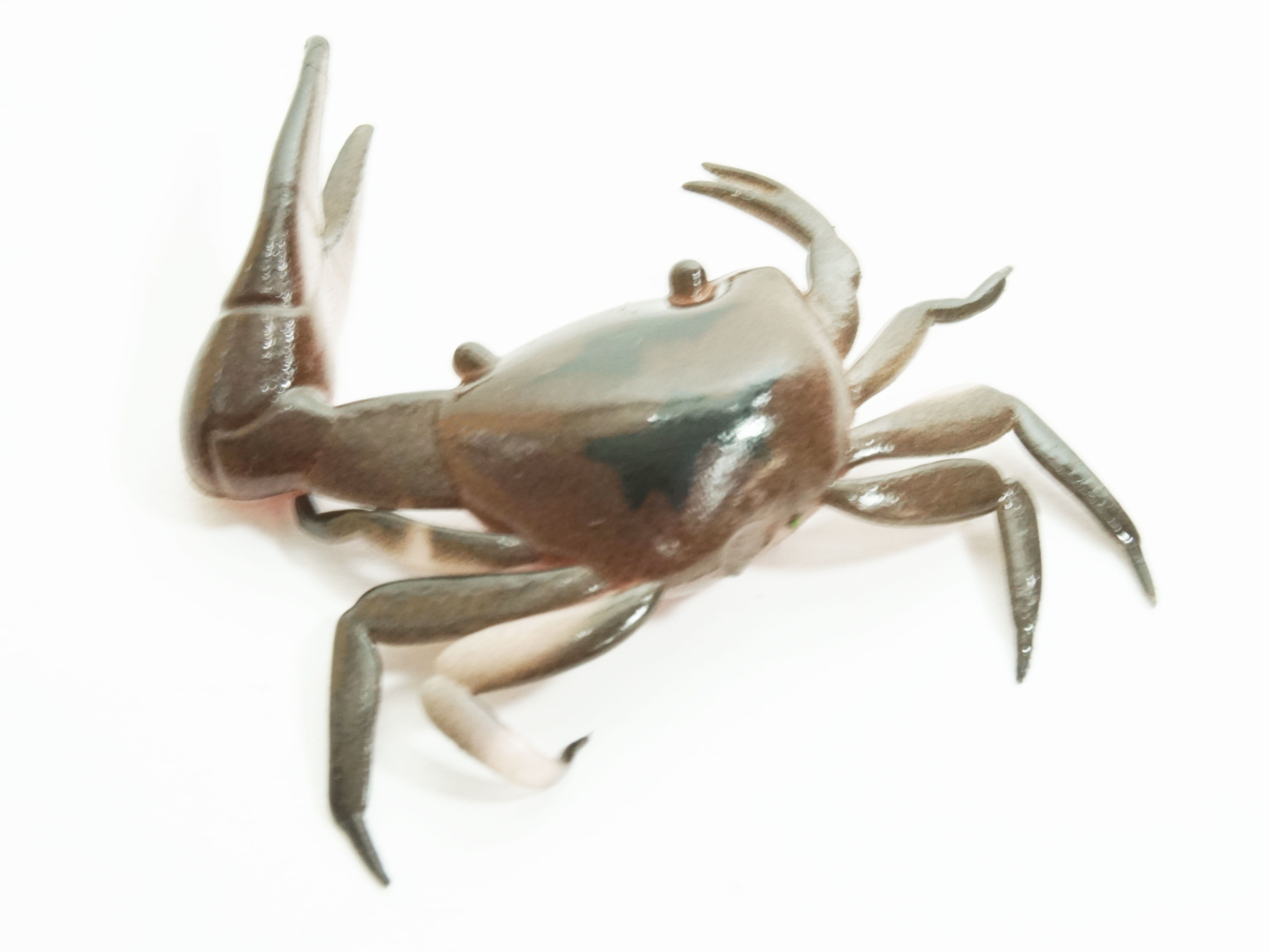 Artificial Fiddler Crab 2