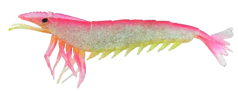 Artificial Shrimp 6" Pink/Yellow 2 Pack - Almost Alive Lures - Click Image to Close