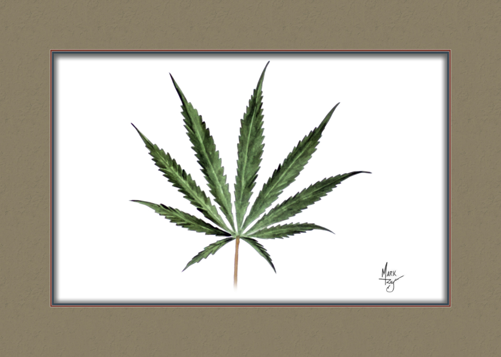 Hemp Leaf