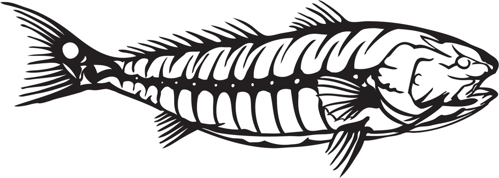 Red Drum Decal/Sticker - Click Image to Close
