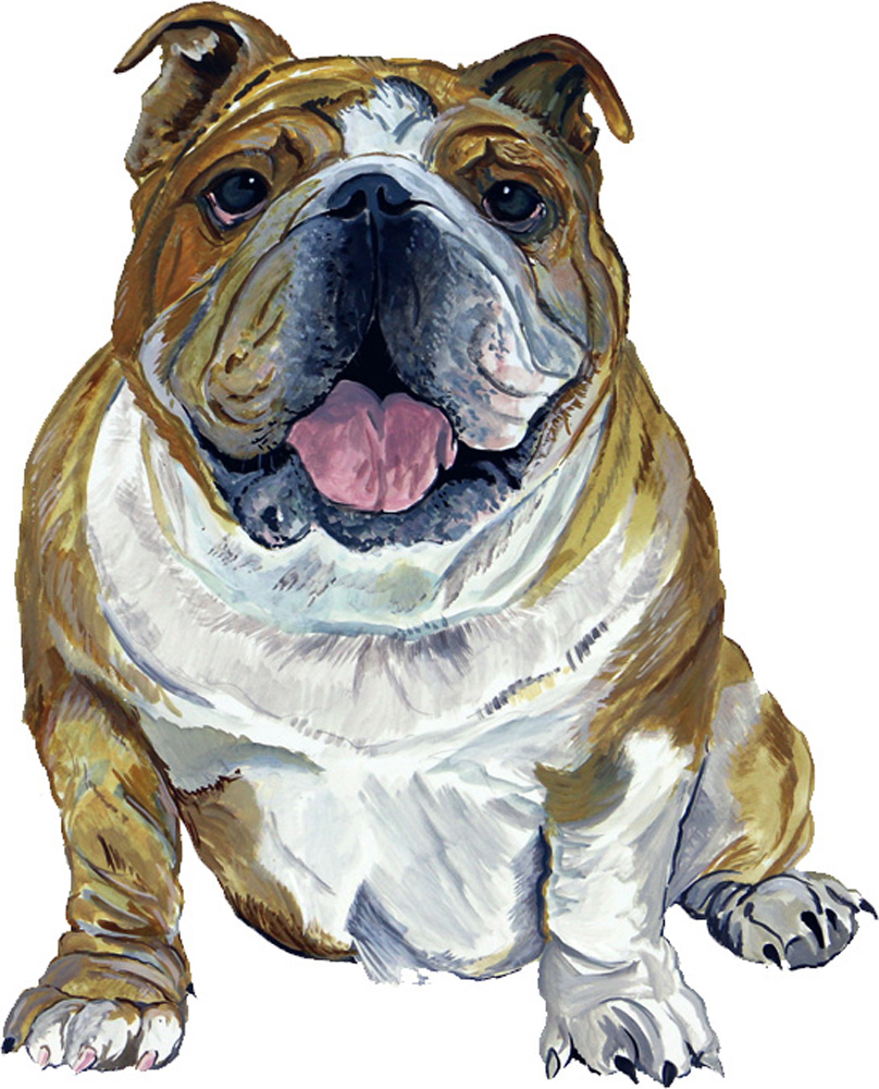 Bulldog Decal/Sticker - Click Image to Close