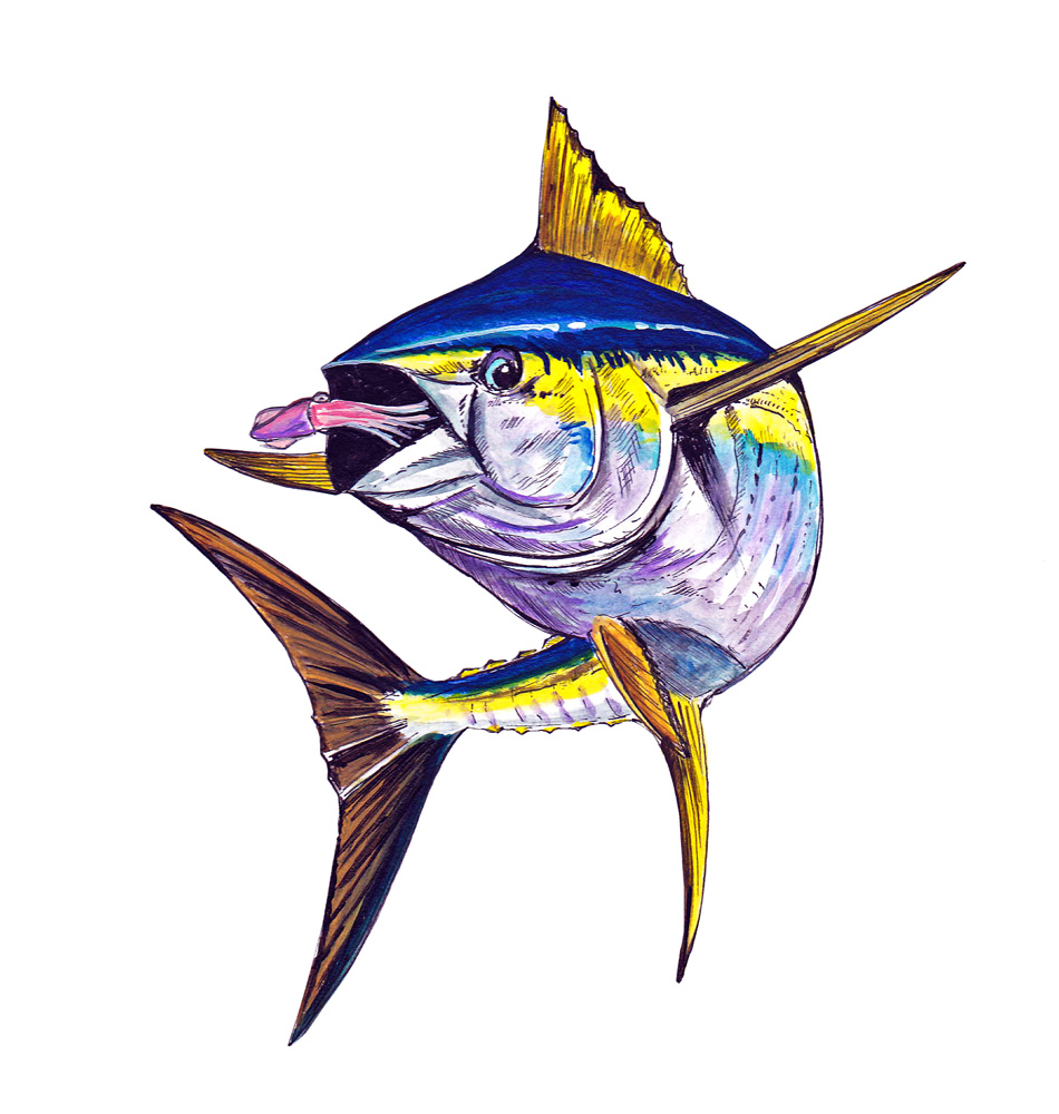 Yellow fin Tuna eating Squid Decal/Sticker - Click Image to Close