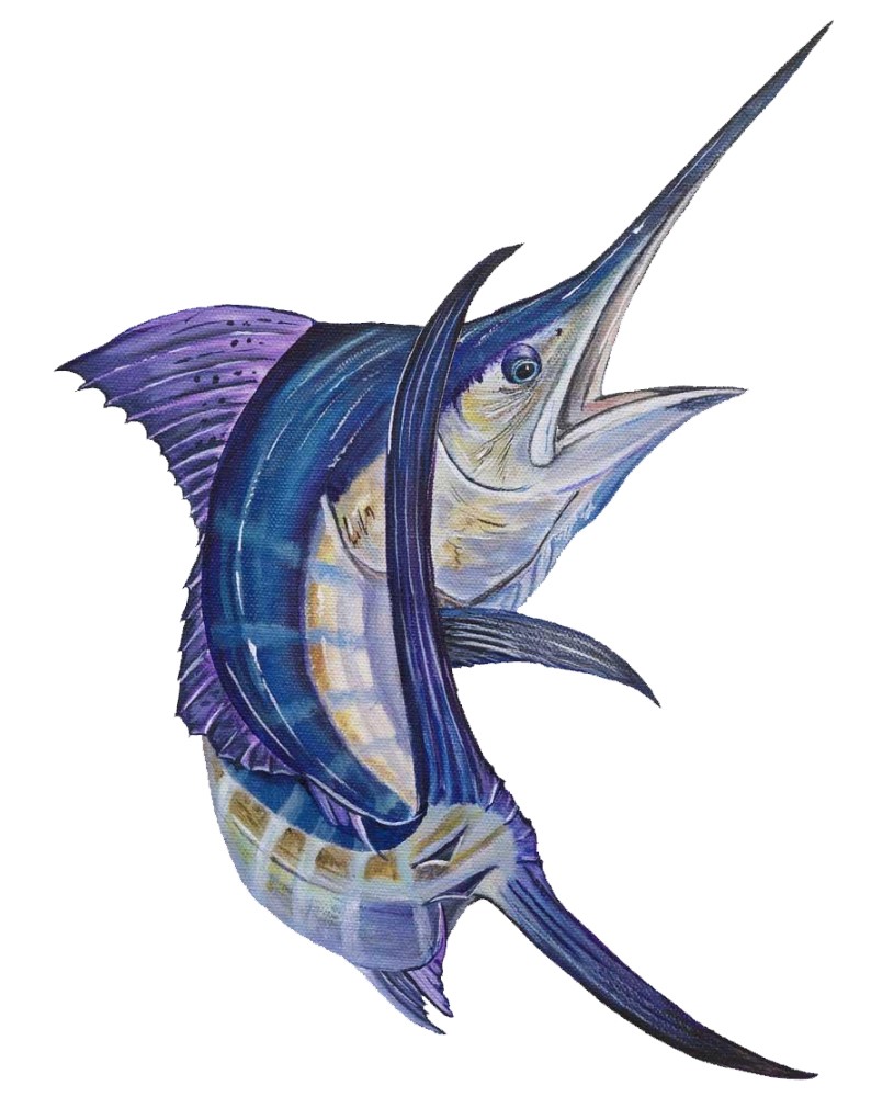 Marlin Bent Decal/Sticker Marlin Bent Decal/Sticker