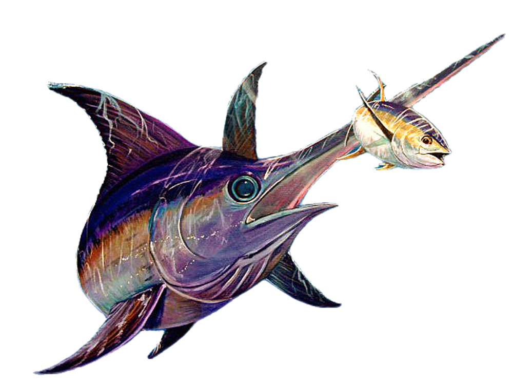 Swordfish and Tuna Decal/Sticker - Click Image to Close