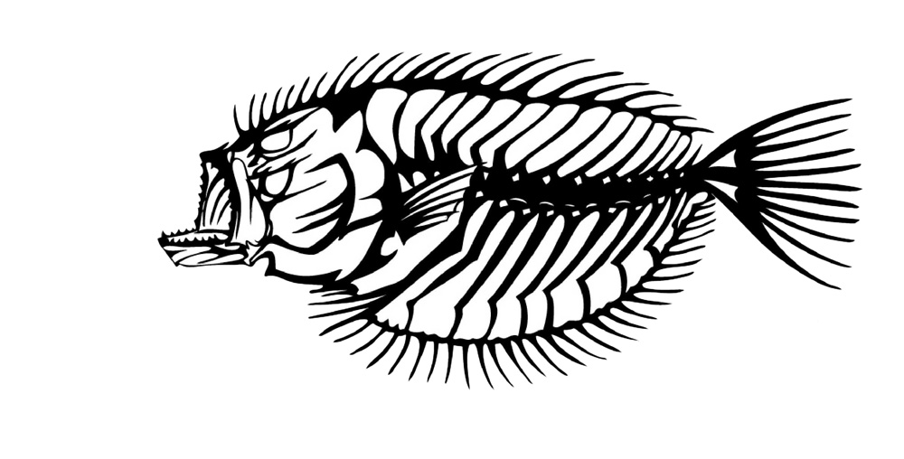 Flounder Decal/Sticker - Click Image to Close