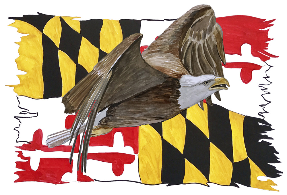 Maryland Flag Tattered w/ Eagle 1 Decal/Sticker
