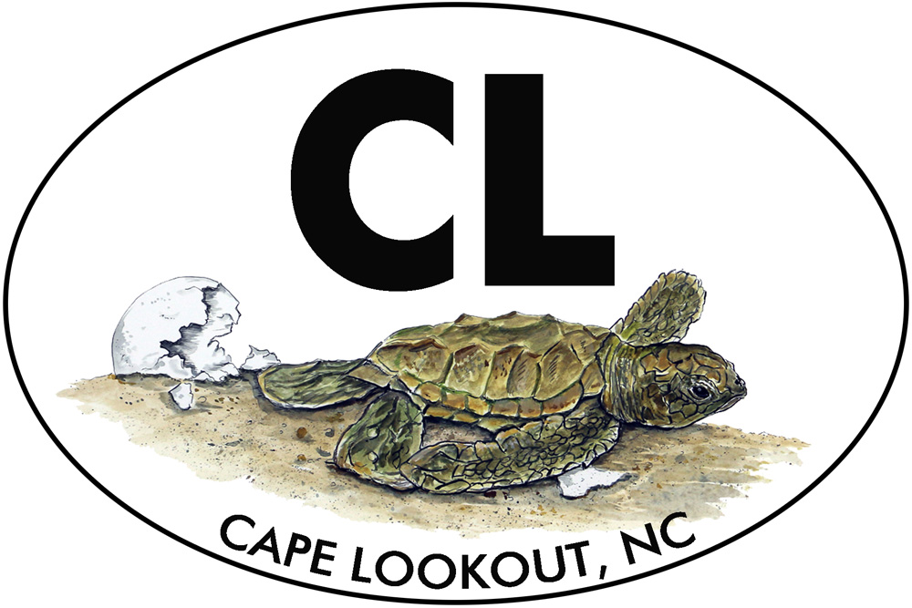 OBX - CL - Cape Lookout - Hatchling Decal/Sticker - Click Image to Close