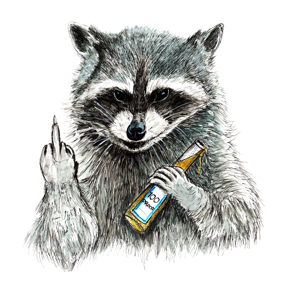 Raccoon Decal/Sticker - Click Image to Close