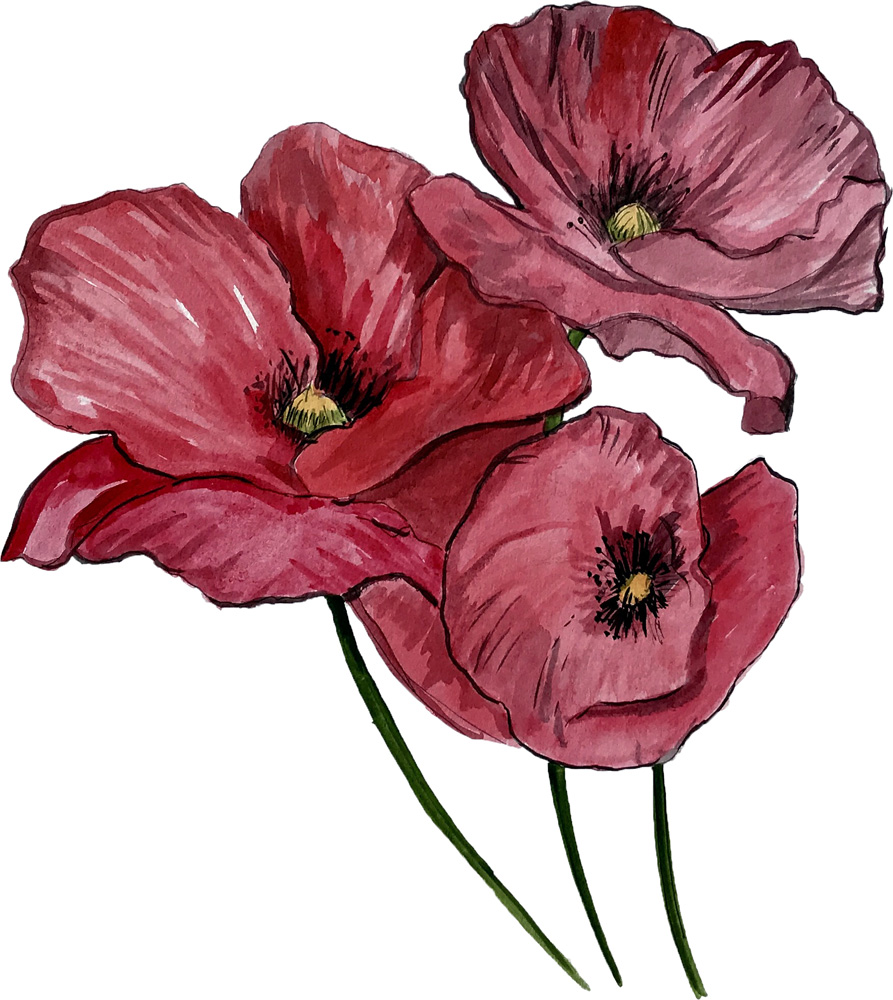 Poppy Flower Decal/Sticker - Click Image to Close