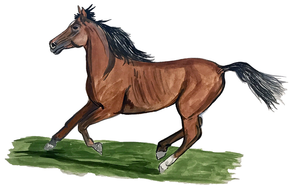Horse Running Decal/Sticker - Click Image to Close