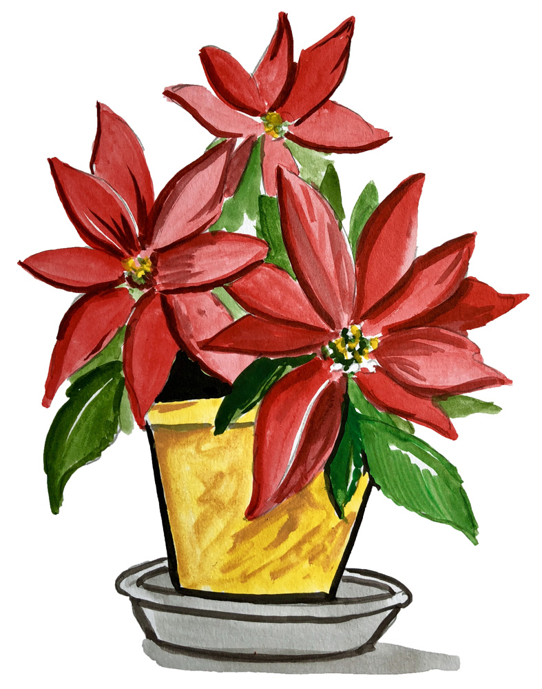 Poinsettia Decal/Sticker - Click Image to Close