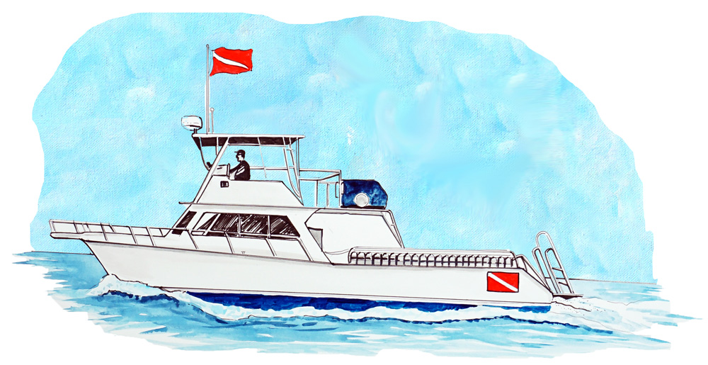 Dive Boat Decal/Sticker - Click Image to Close