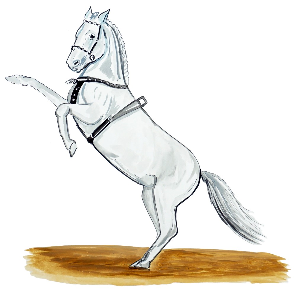 White Snow Horse Decal/Sticker