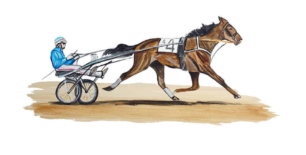 Horse Race Jockey Decal/Sticker - Click Image to Close