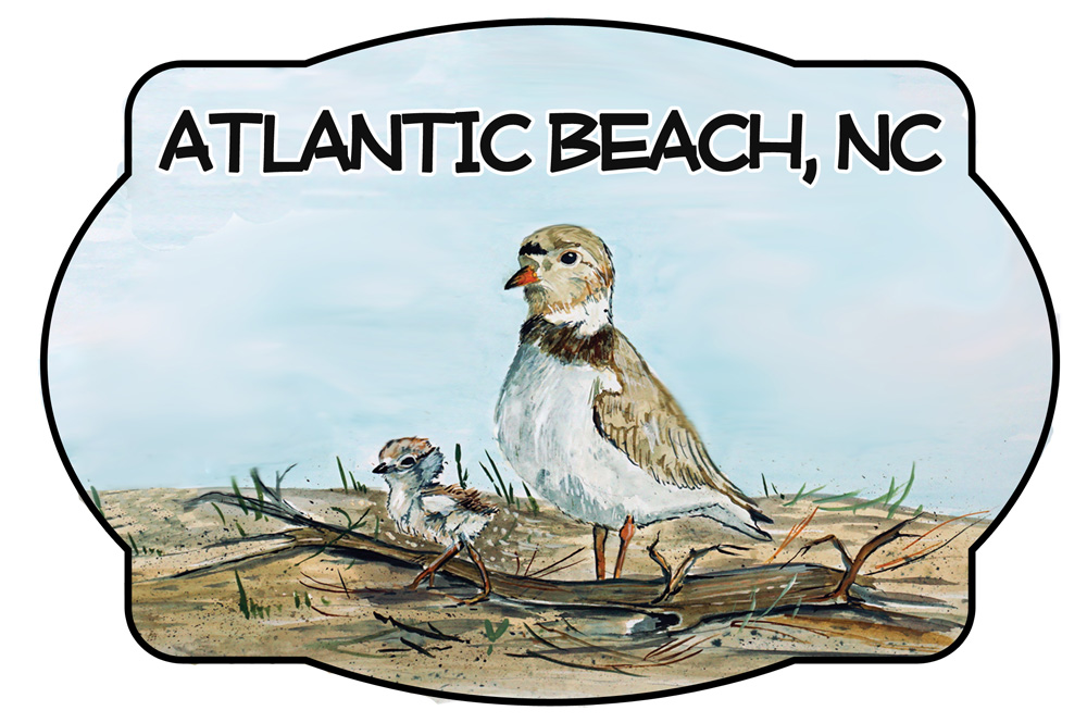Atlantic Beach - Shorebird Scene Decal/Sticker - Click Image to Close