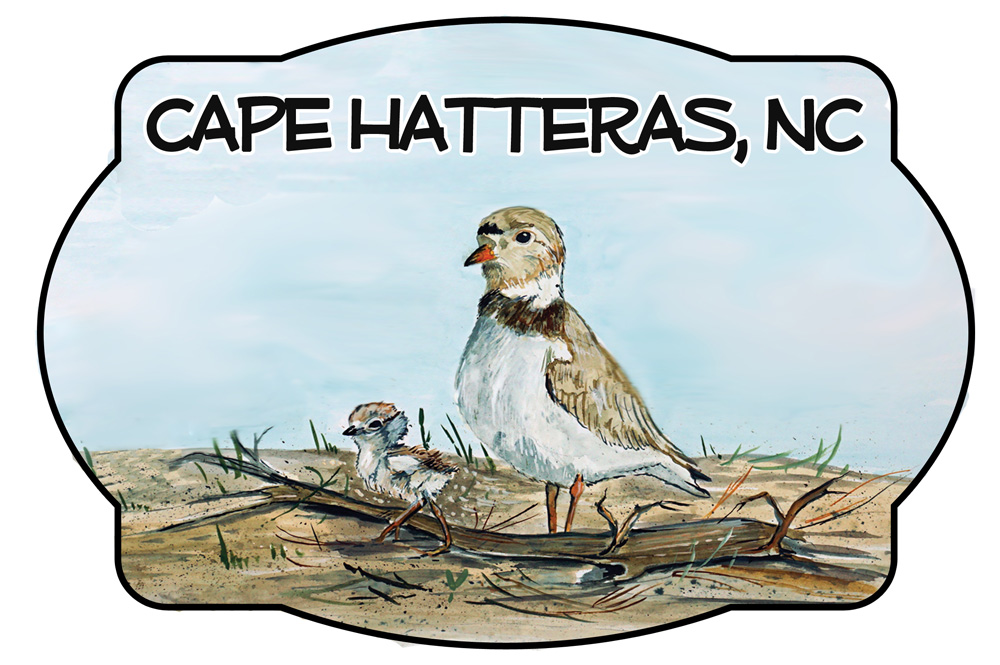 Cape Hatteras - Shorebird Scene Decal/Sticker