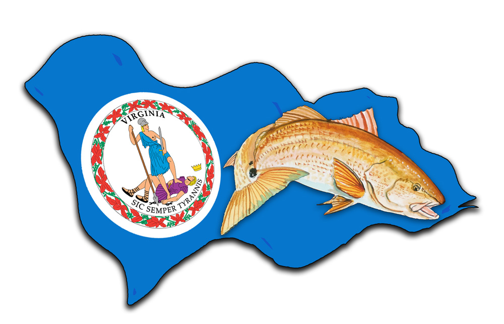 Virginia Flag with Red Drum Decal/Sticker - Click Image to Close