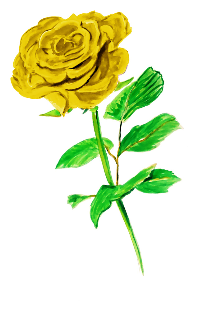 Yellow Rose Decal/Sticker - Click Image to Close