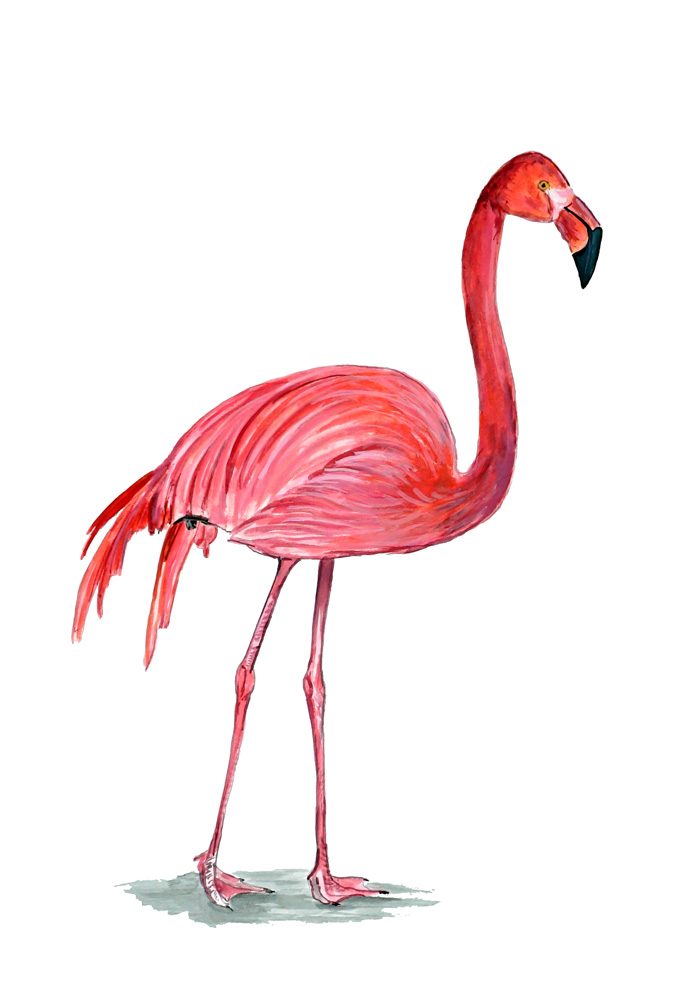 Pink Flamingo Decal/Sticker - Click Image to Close