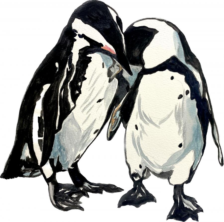 Penguin Pair Decal/Sticker - Click Image to Close