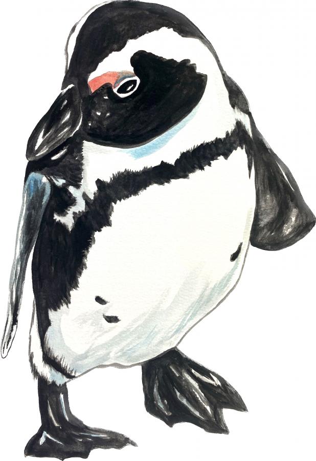 Single Penguin Decal/Sticker - Click Image to Close