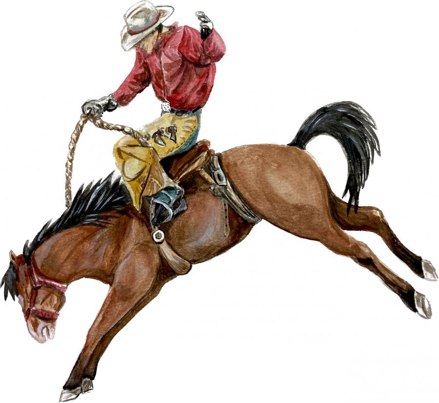 Horseback Rodeo Rider Decal/Sticker - Click Image to Close