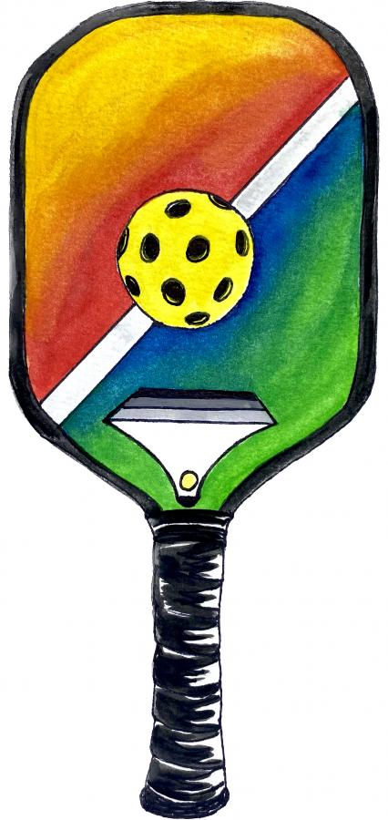 Pickleball Paddle Decal/Sticker - Click Image to Close