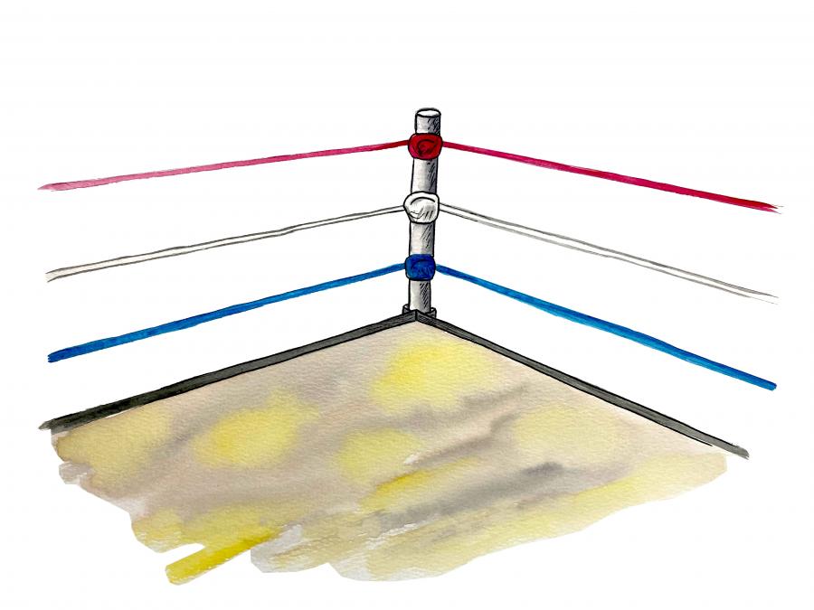 Boxing Ring Decal/Sticker - Click Image to Close