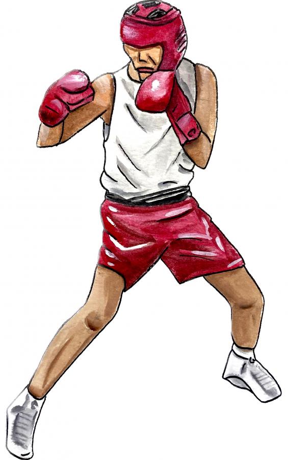 Male Boxer Decal/Sticker - Click Image to Close