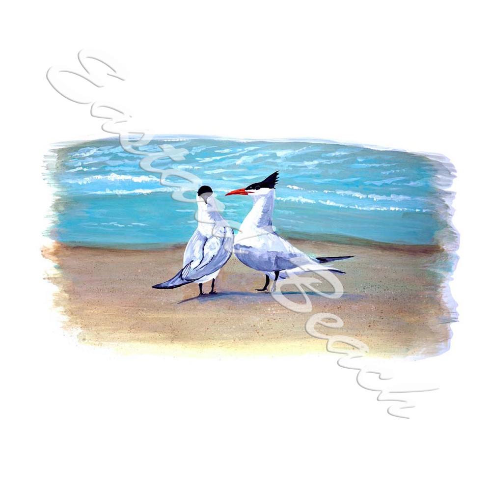Double Shore Bird Decal/Sticker - Click Image to Close