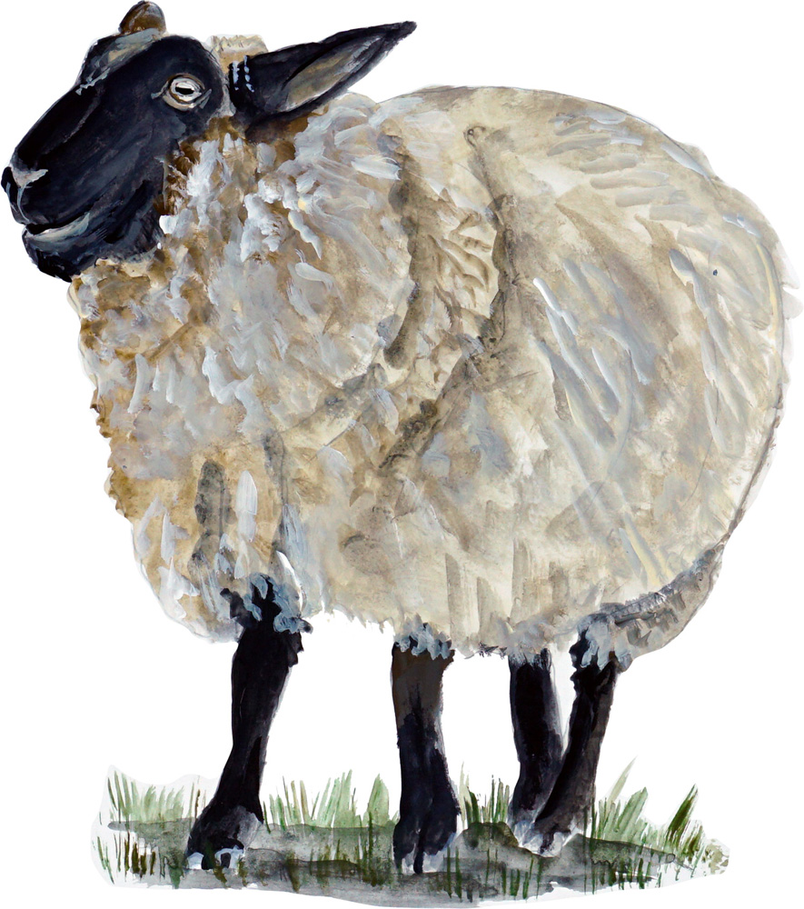 Sheep Decal/Sticker - Click Image to Close