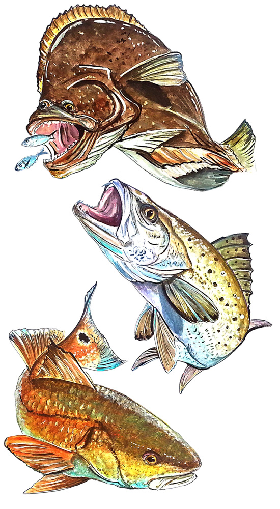 Red, Trout, Flounder Decal/Sticker - Click Image to Close